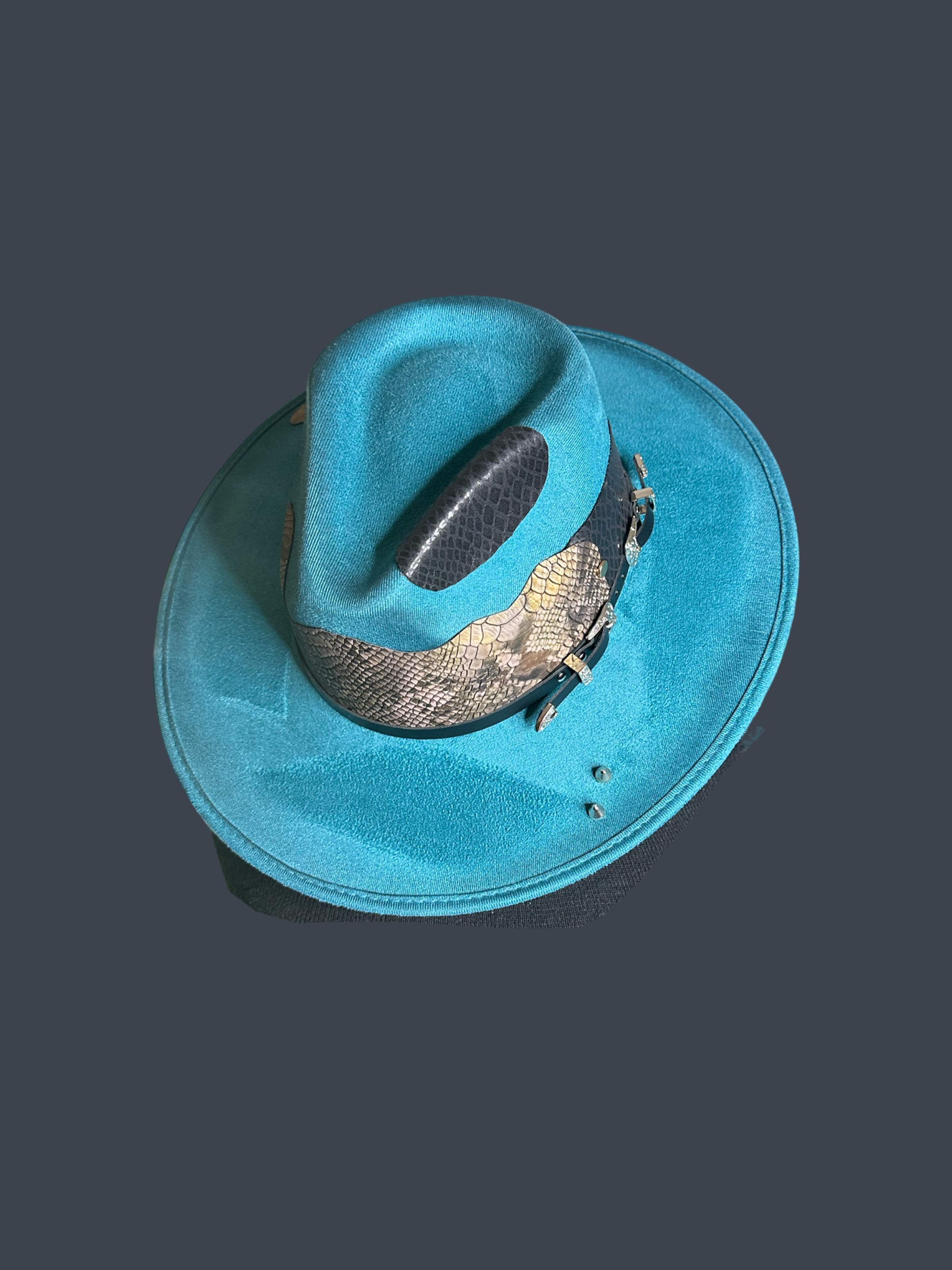 The Rattler Rancher