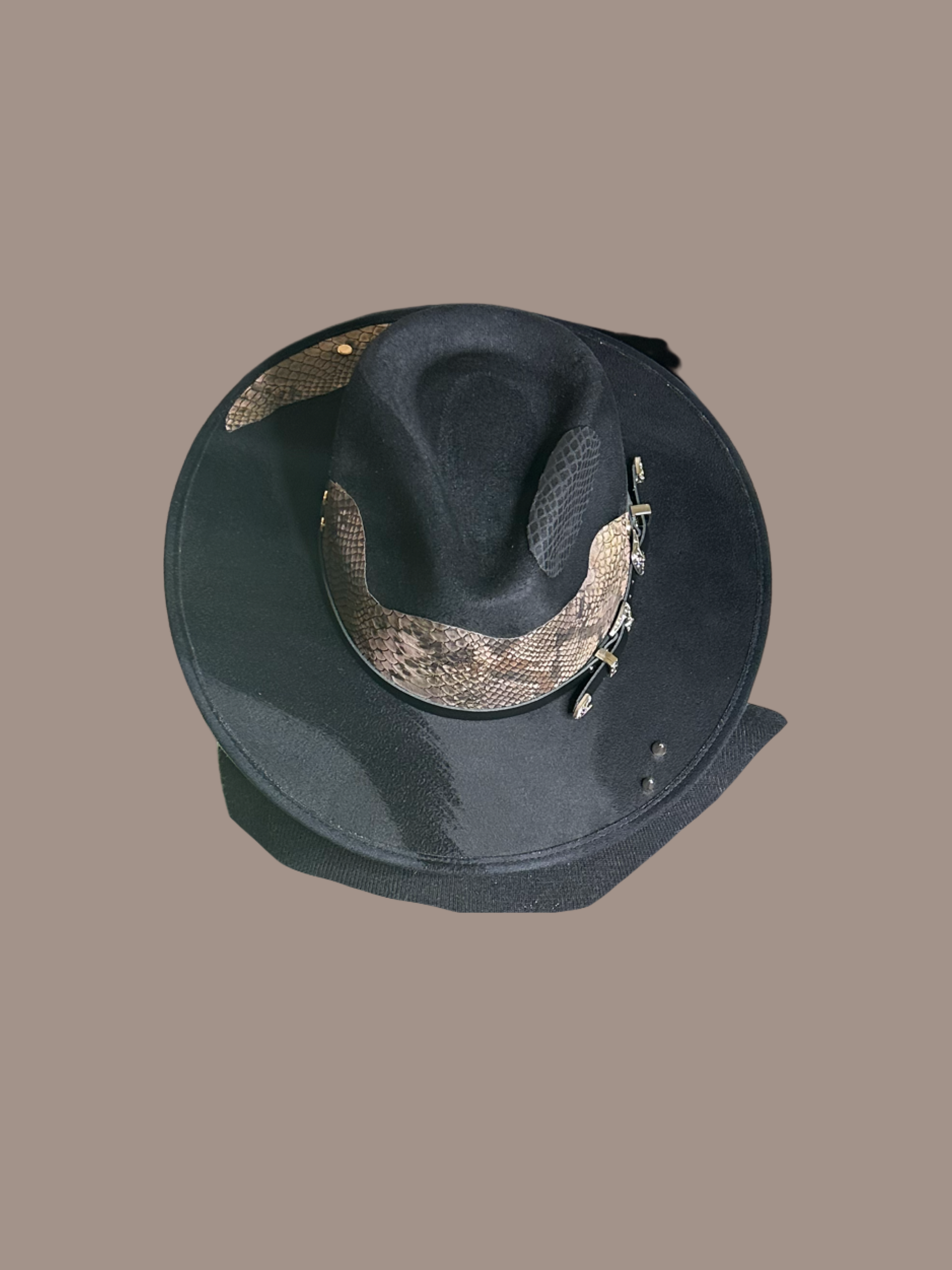 The Rattler Rancher