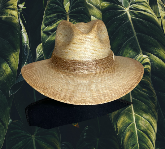 Toasted Palm Explorer