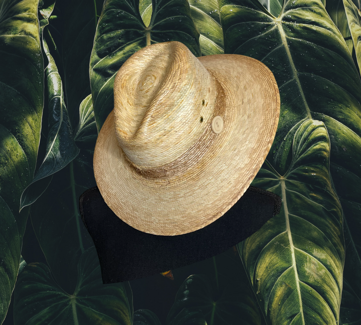 Toasted Palm Explorer